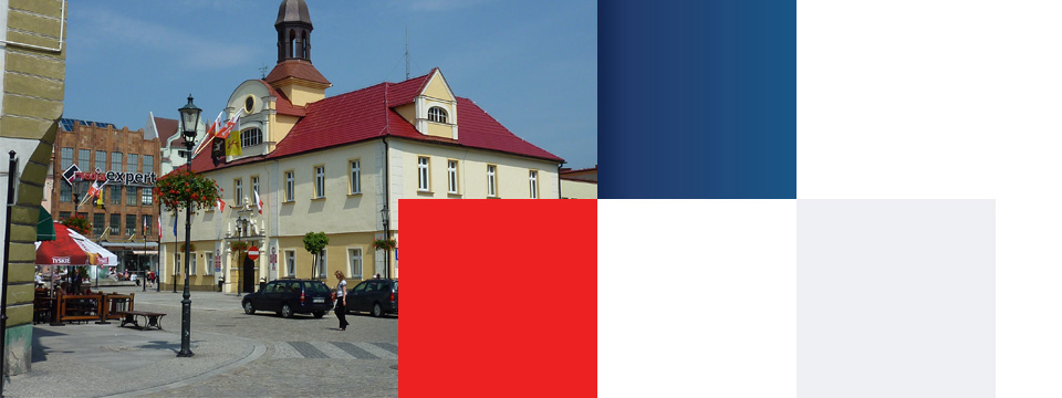 GMINA MIEJSKA ŻARY